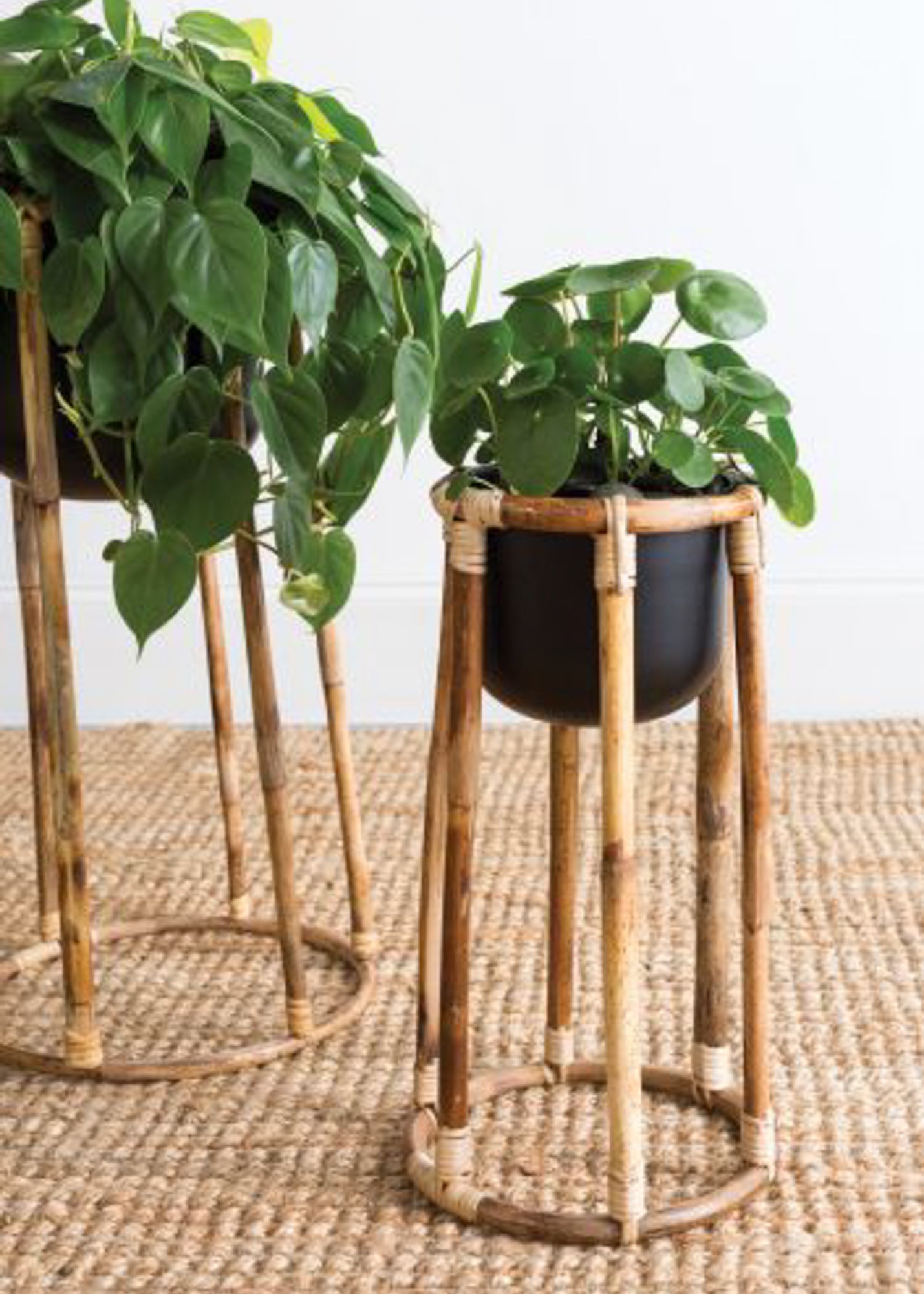 Black + Rattan Plant Stand (2 Sizes Available) -  - Pots and Vases - Wild Lark