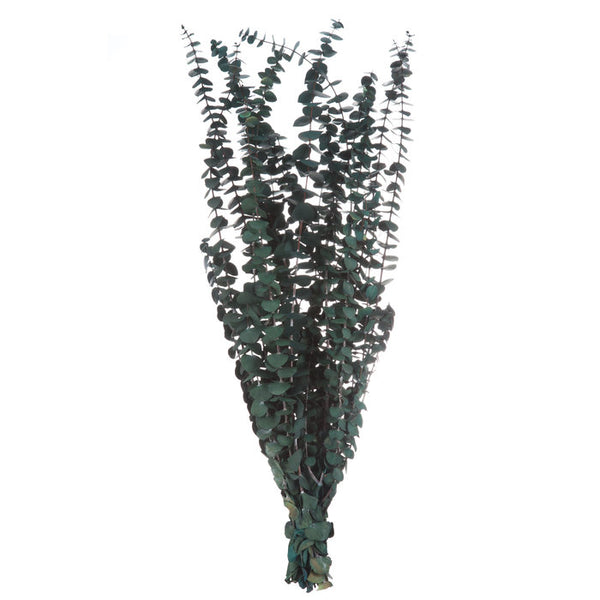 Premium Mixed Eucalyptus Bundle -  - Wild Lark - Wild Lark