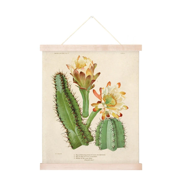 Vintage Botanical Cactus 2 -  - Curious Prints - Wild Lark