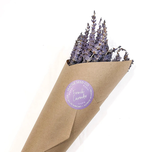 Dried Lavender Bundle -  - Seattle Seed Co. - Wild Lark