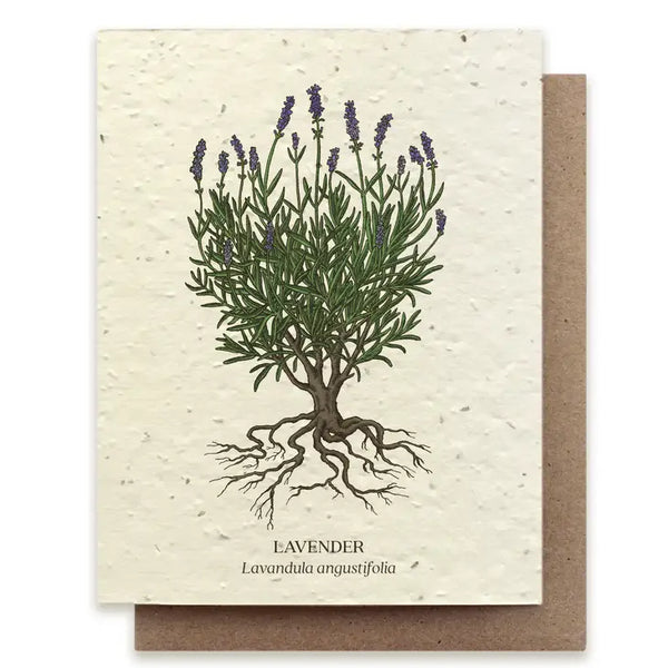Plantable Wildflower Seed Card - Illustrated - Lavender - The Bower Studio - Wild Lark