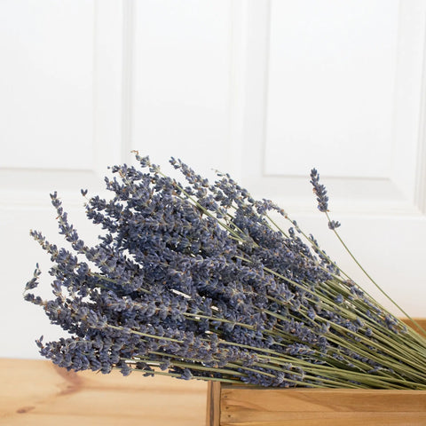French Lavender Bunch -  - Andaluca - Wild Lark