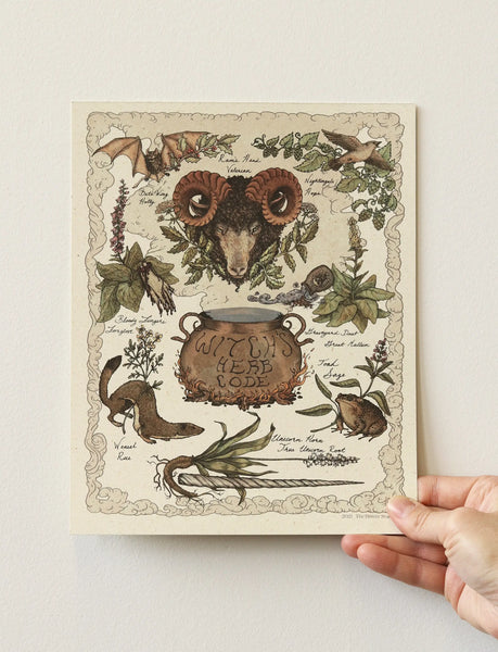 Witch's Herb Code Print -  - The Bower Studio - Wild Lark