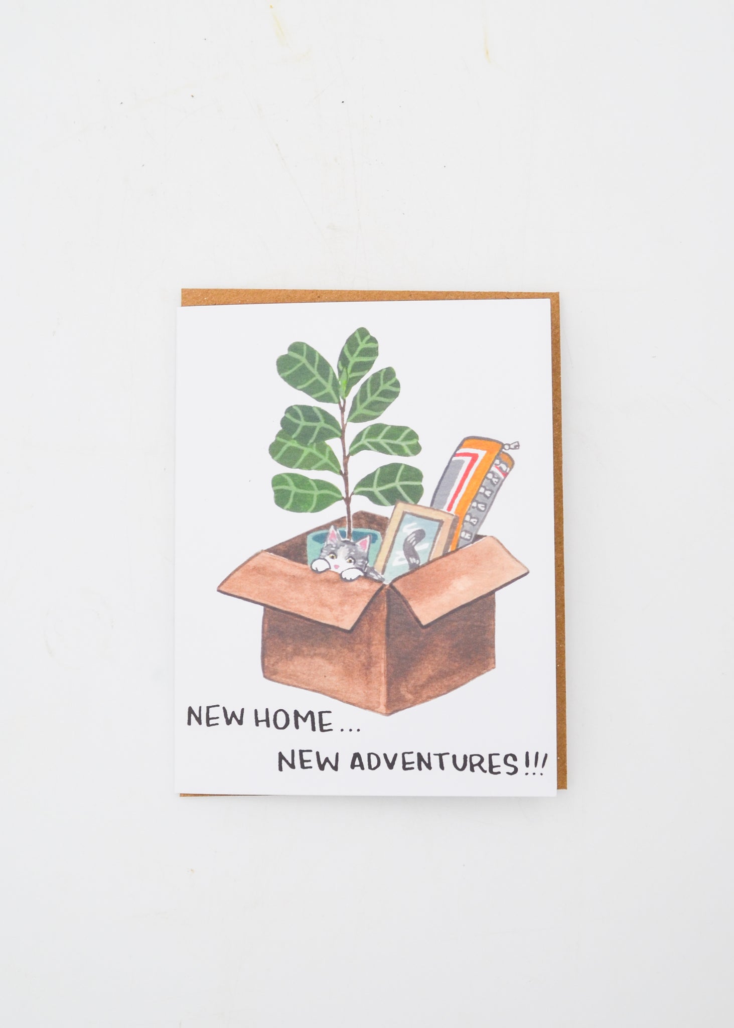 "New Home, New Adventures" Card - Plants and Cat -  - Sketchy Notions - Wild Lark