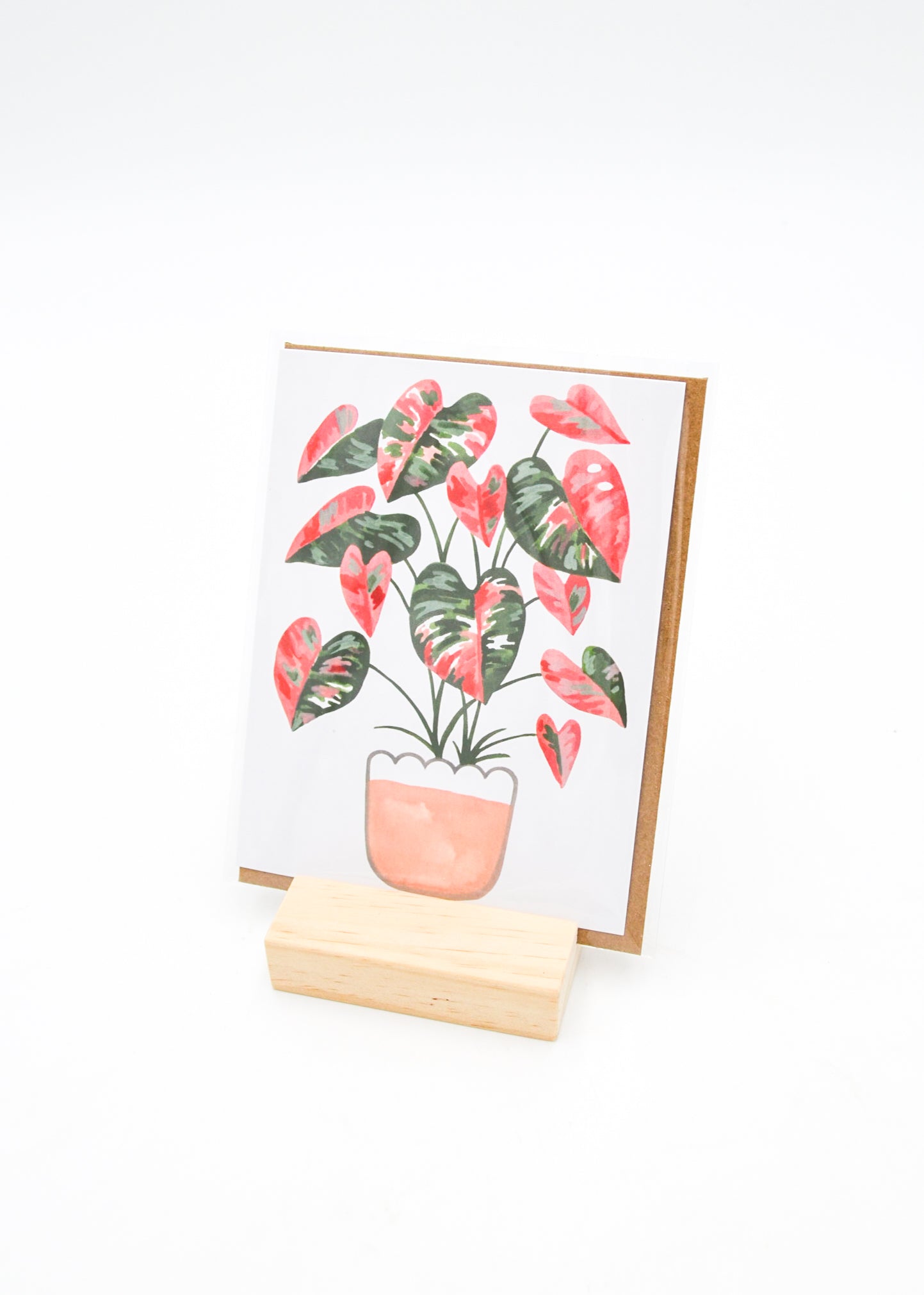 Blank Card - Pink and Green Monstera -  - Paper Anchor Co. - Wild Lark