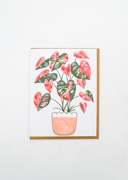 Blank Card - Pink and Green Monstera -  - Paper Anchor Co. - Wild Lark