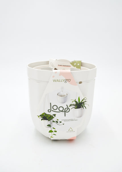 Loop WallyGro Planters (10 Colors Available) -  - WallyGro - Wild Lark