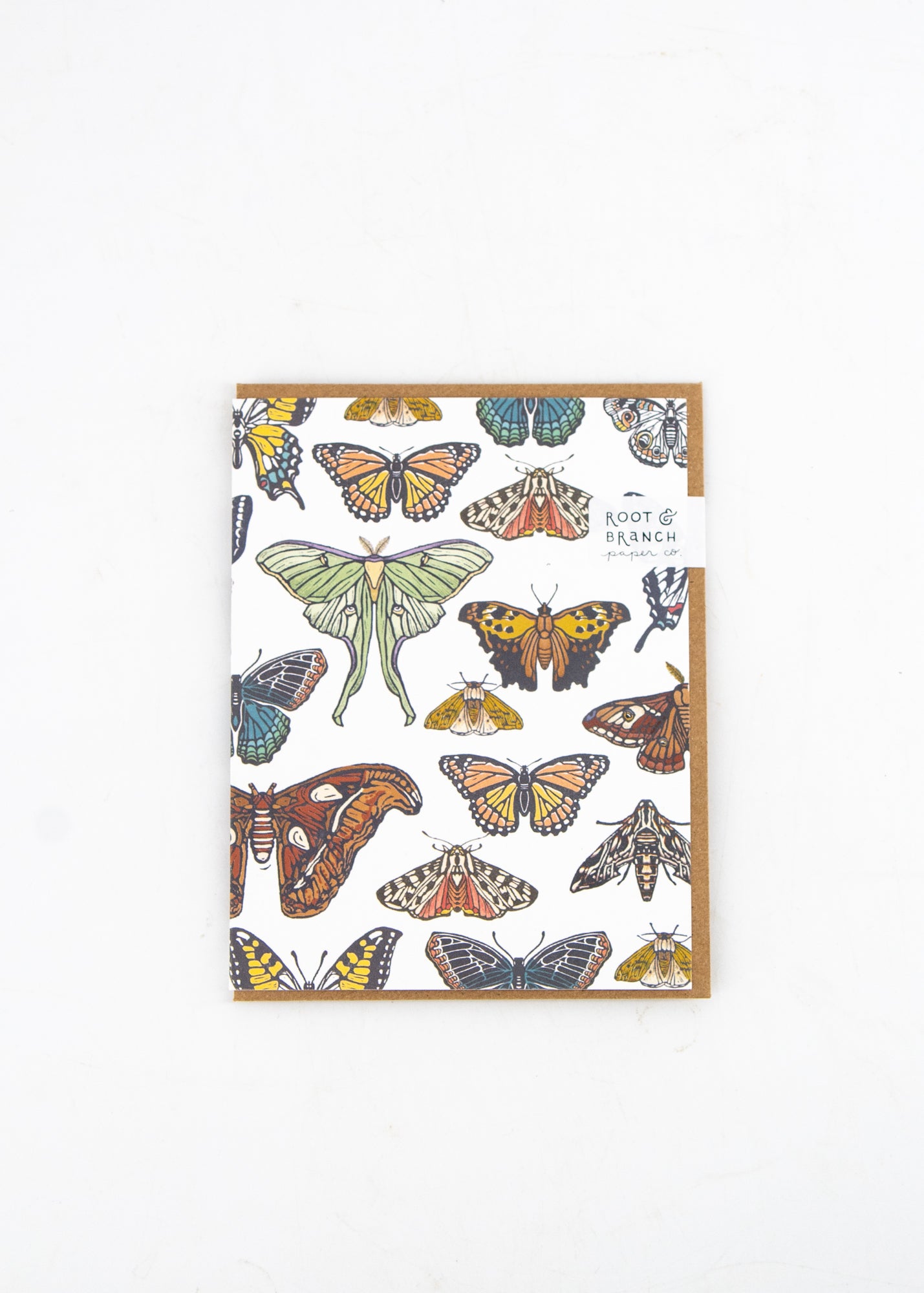 Butterflies and Moths Blank Card -  - Root & Branch Paper Co. - Wild Lark