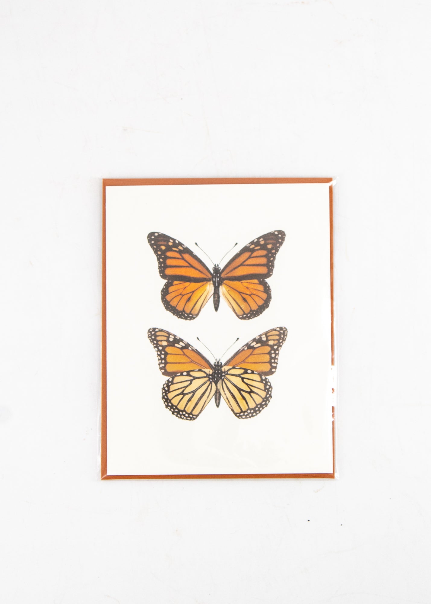 Monarch Butterfly Card -  - Lana's Shop - Wild Lark