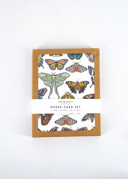 Butterflies and Moths Boxed Card Set -  - Root & Branch Paper Co. - Wild Lark