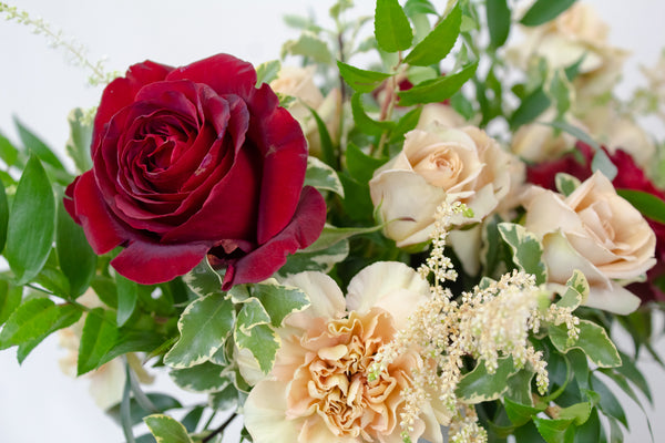 Burgundy + Blush Arrangement - Designer's Choice -  - Wild Lark - Wild Lark