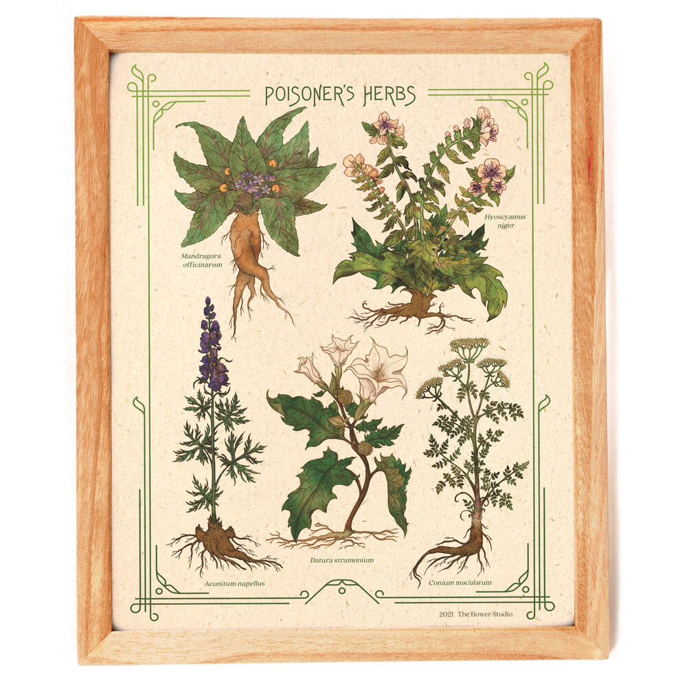 Poisoner's Herbs Print -  - The Bower Studio - Wild Lark