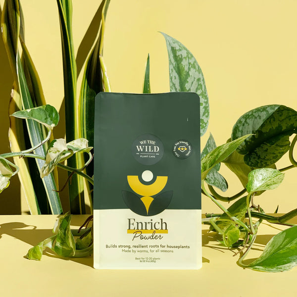 Enrich Powder - We The Wild -  - We The Wild - Wild Lark