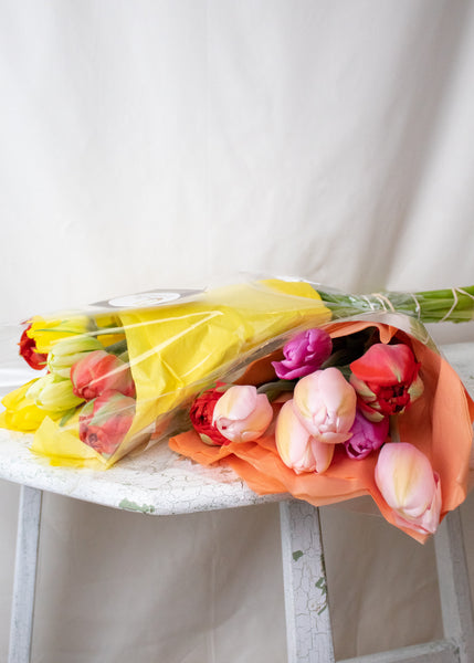 Fresh Local Tulips Bouquet -  - Wild Lark - Wild Lark