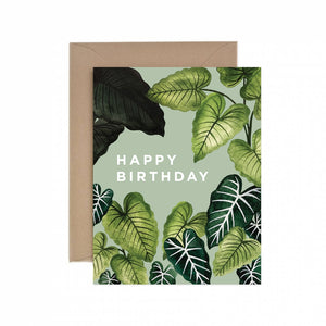 Alocasia Happy Birthday Card -  - Paper Anchor Co. - Wild Lark
