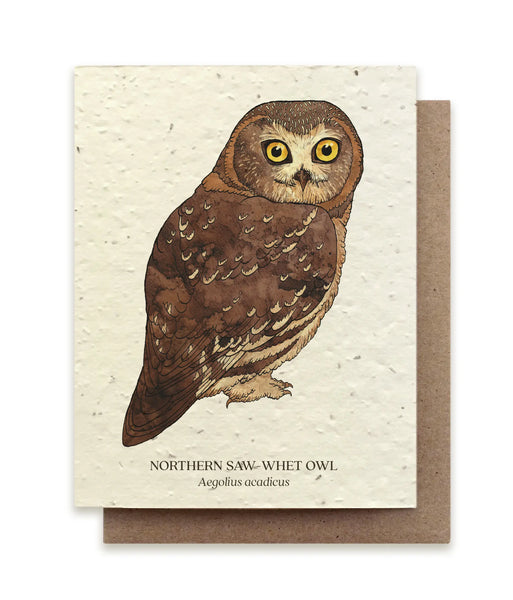 Plantable Wildflower Seed Card - Illustrated - Northern Saw-whet Owl - The Bower Studio - Wild Lark
