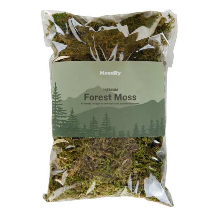 Premium Forest Moss Mix -  - Mossify - Wild Lark
