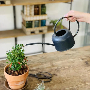 Tin Watering Can -  - Time Concept - Wild Lark