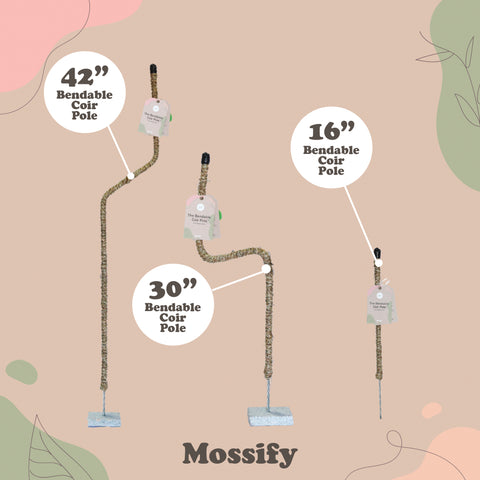 Bendable Coir Pole -  - Mossify - Wild Lark