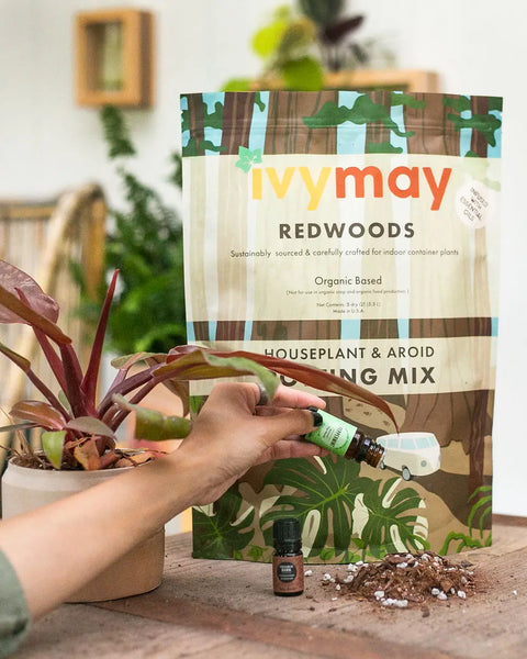 Redwoods Houseplant & Aroid Potting Mix - 5 qt. - Peat Free -  - IvyMay - Wild Lark