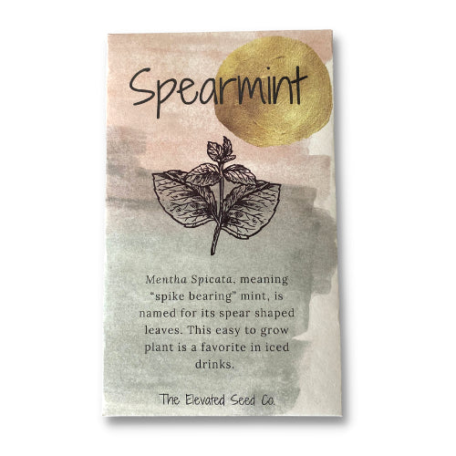Spearmint Garden Seeds -  - The Elevated Seed Co - Wild Lark