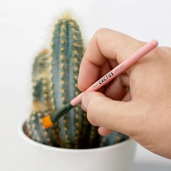 Mini Cactus Cleaner Brushes -  - Bubblegum Stuff US - Wild Lark