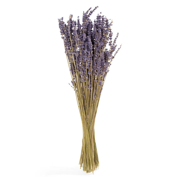 French Lavender Bunch -  - Andaluca - Wild Lark