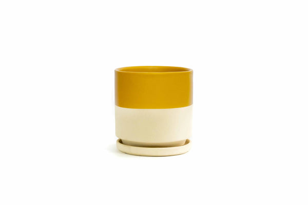 6.5" Gemstone Pot - with Water Saucer - Top Half Mustard - Momma Pots - Wild Lark