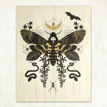 Hawk Moth Small Wood Print -  - Little Gold Fox Designs - Wild Lark