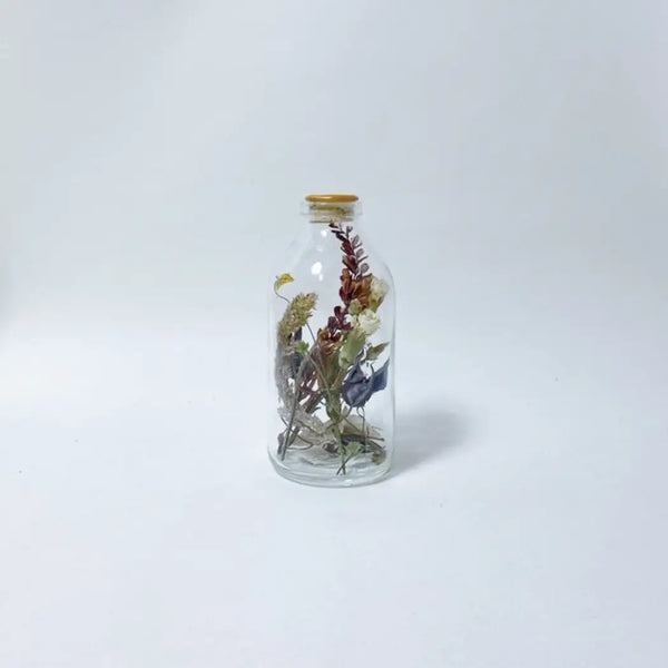 Dried Florals in Glass - Yellow Gold | Harapan 200mL - Field Of Hope - Wild Lark