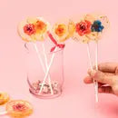 Sweet Caroline Confection Lollipops -  - Sweet Caroline Confections - Wild Lark