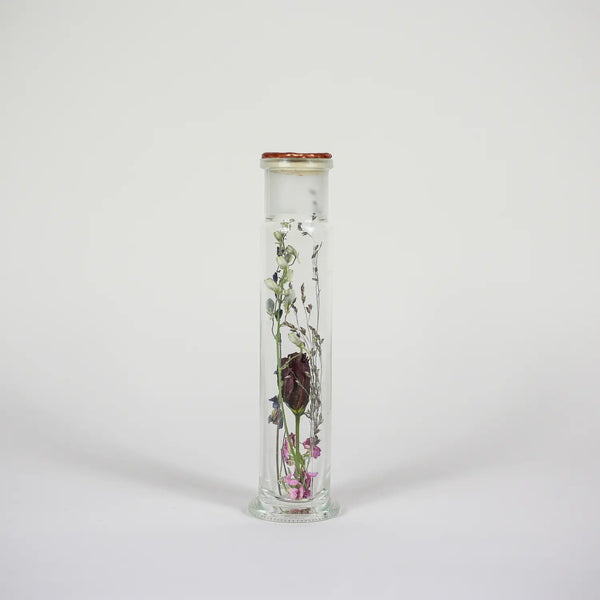 Dried Florals in Glass - Yellow Gold | Aasha - Field Of Hope - Wild Lark