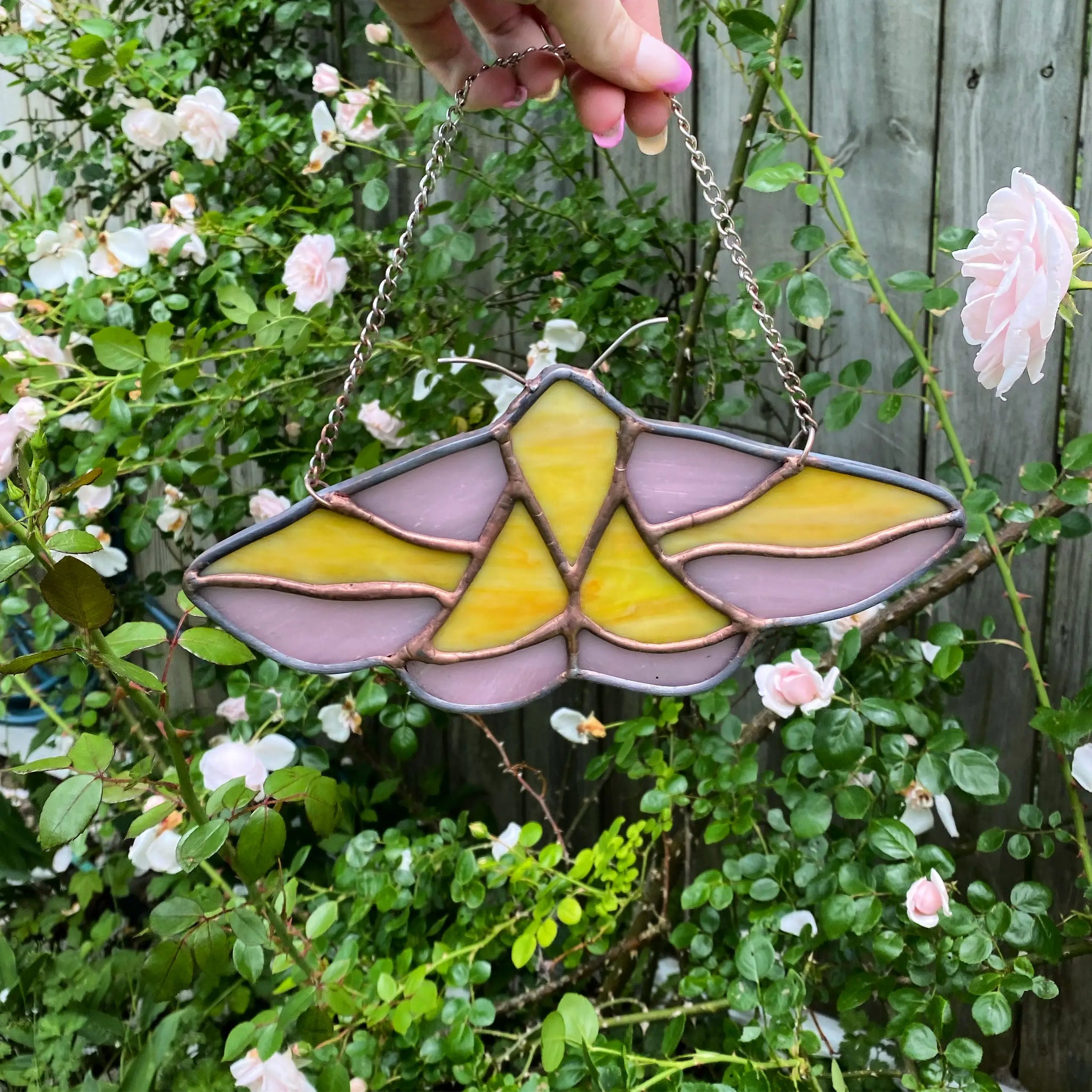 Rose Maple Moth - Stained Glass Suncatcher -  - The Glass Magnolia - Wild Lark