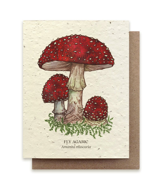 Plantable Wildflower Seed Card - Illustrated - Fly Agaric Mushroom - The Bower Studio - Wild Lark