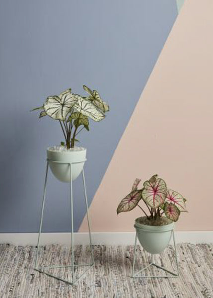 SALE! Mint Green Plant Stand -  - Pots and Vases - Wild Lark