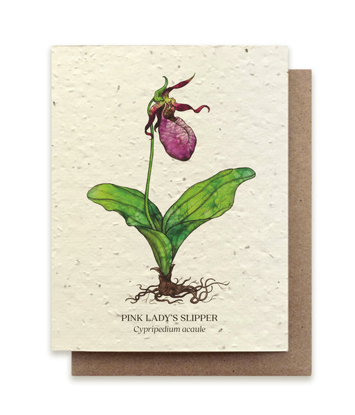 Plantable Wildflower Seed Card - Illustrated - Lady's Slipper - The Bower Studio - Wild Lark