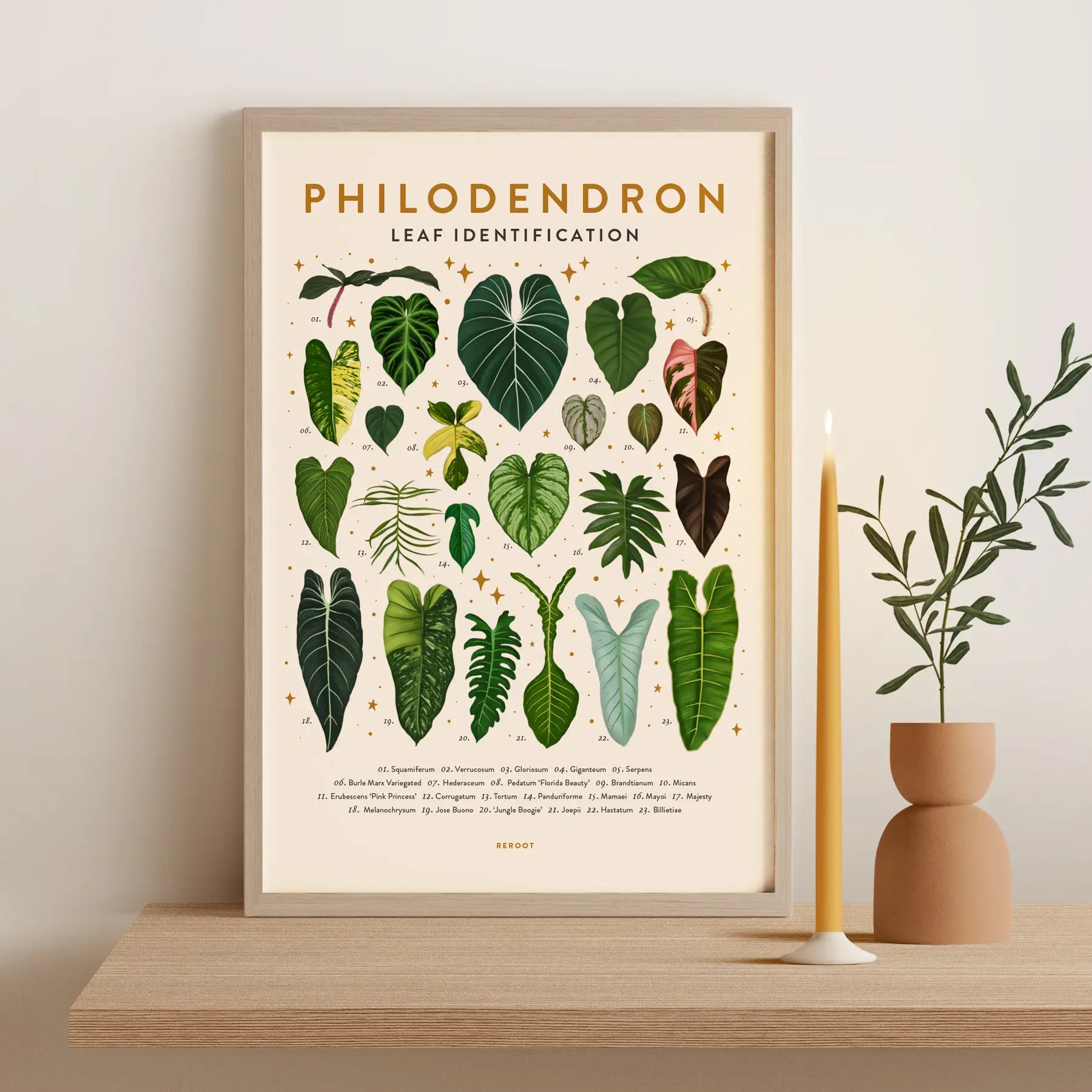 philodendron leaf identification Leaf Identification Posters – Wild Lark
